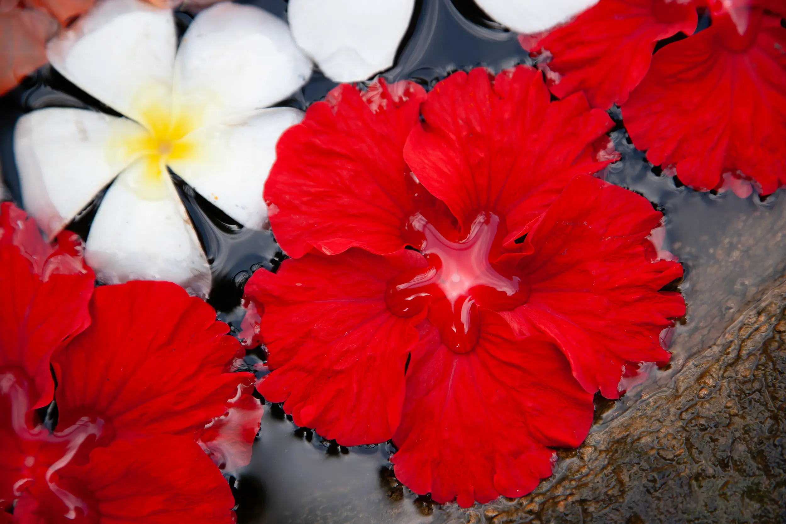 10 Tips for Taking Great Travel  Photographs