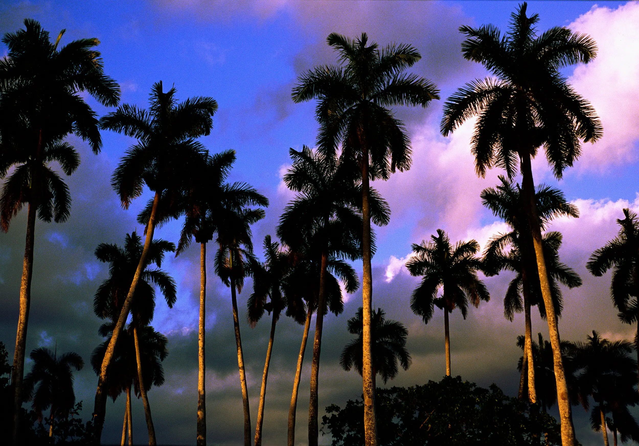 Cuba