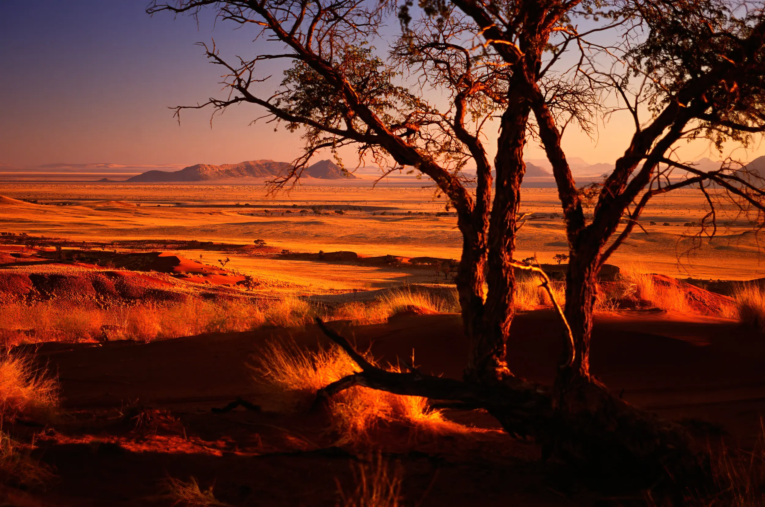 Namibia